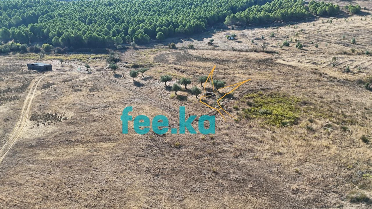 Terreno para Venda em Perais Foto 15
