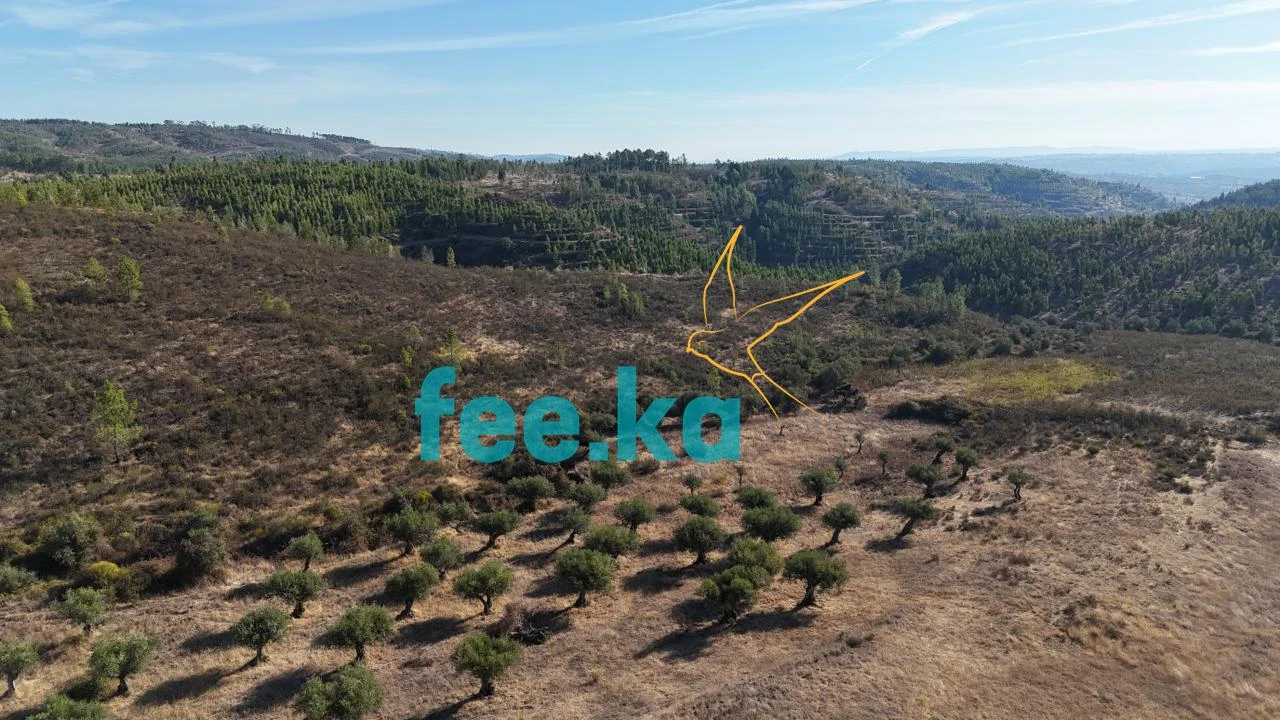 Terreno para Venda em Perais Foto 20