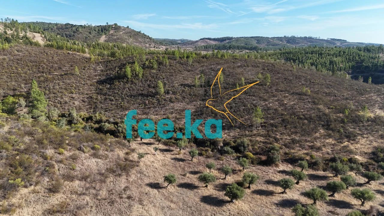 Terreno para Venda em Perais Foto 22