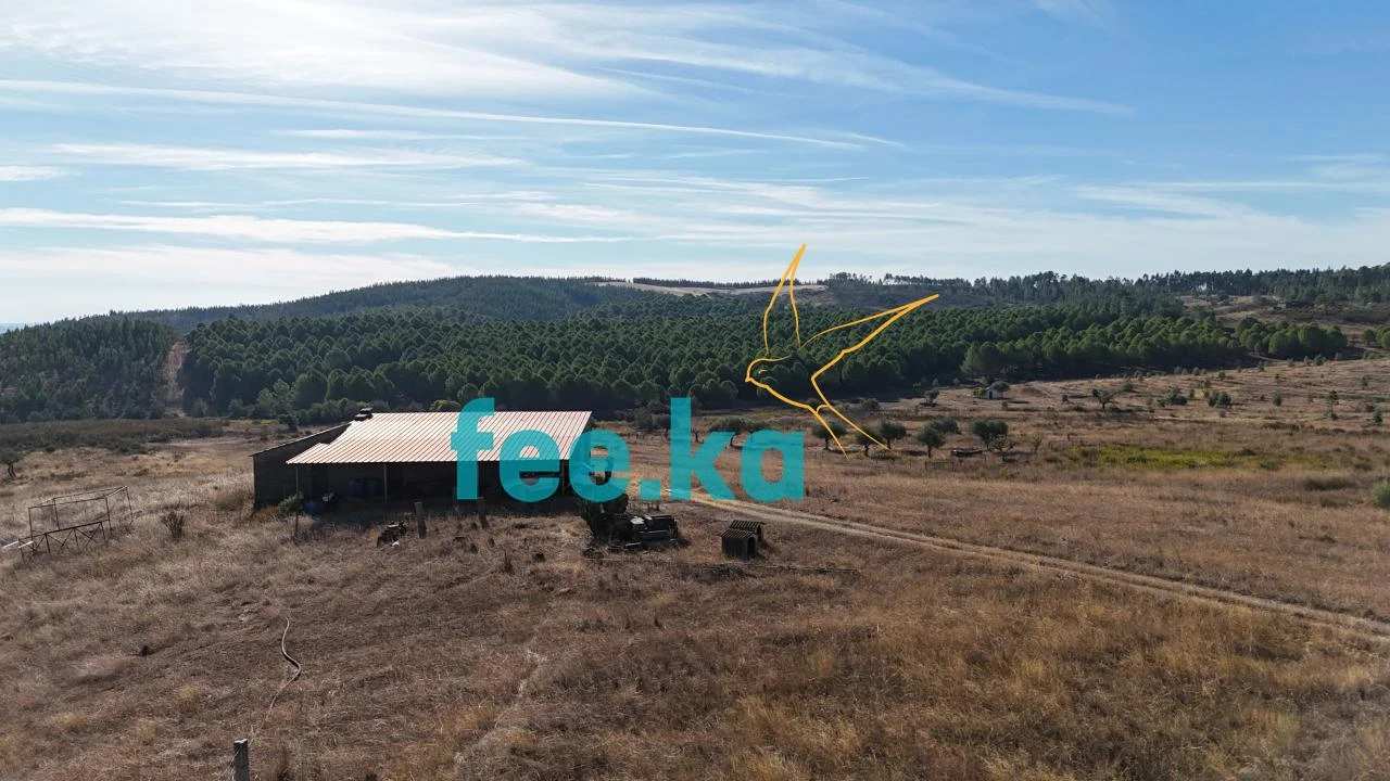 Terreno para Venda em Perais Foto 28