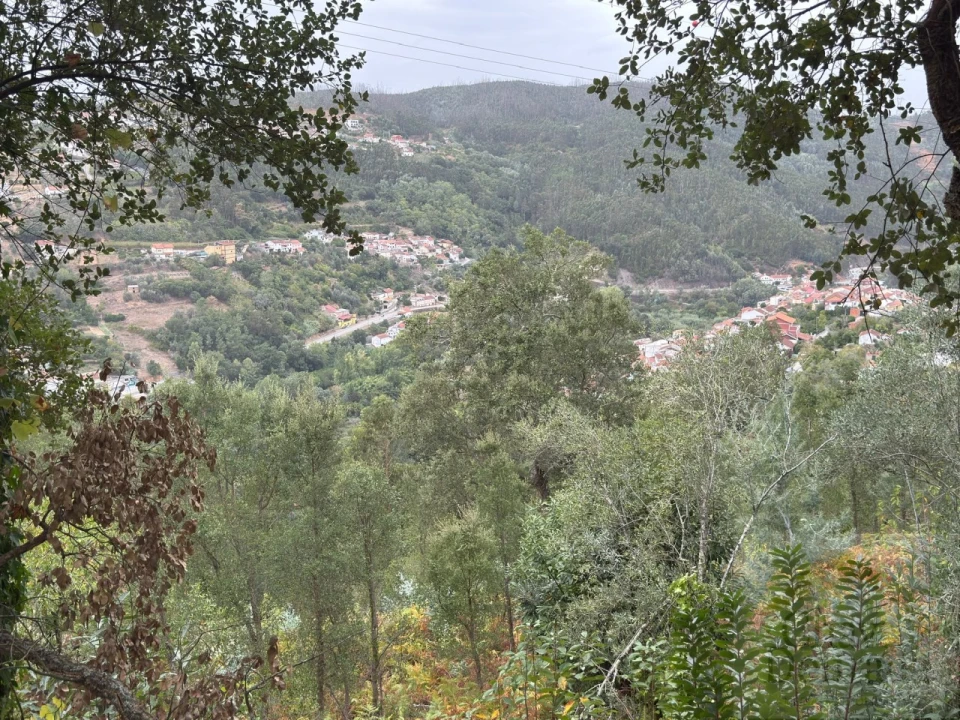 Terreno para Venda em Ceira Foto 12