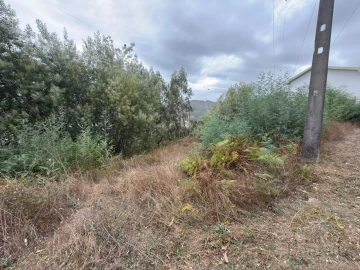 Terreno para Venda em Ceira