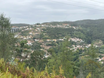 Terreno para Venda em Ceira