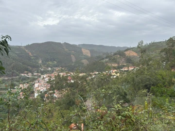 Terreno para Venda em Ceira