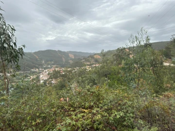Terreno para Venda em Ceira