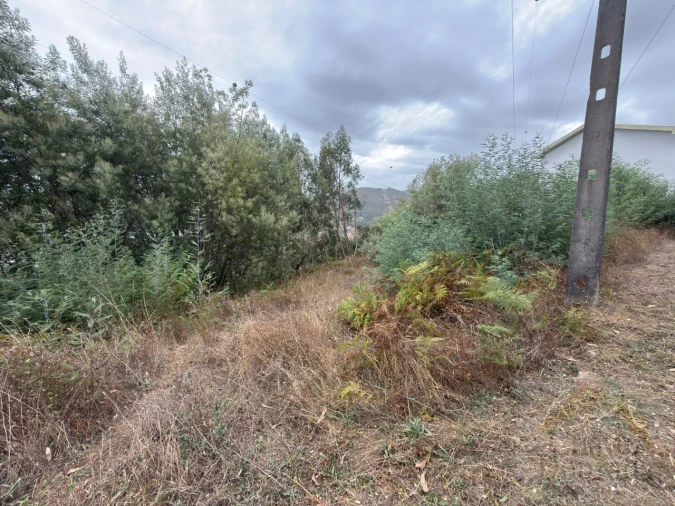 Terreno para Venda em Ceira Foto 11