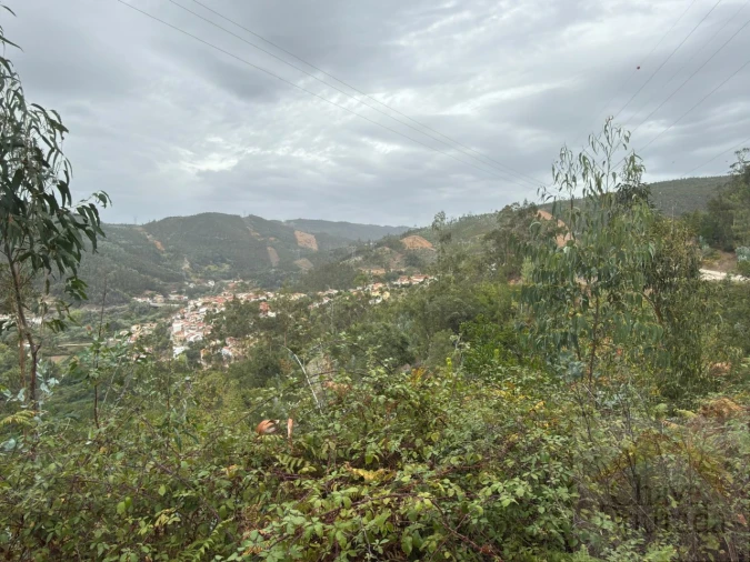 Terreno para Venda em Ceira Foto 16