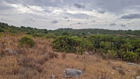 Terreno para Venda em Faro (Sé e São Pedro)