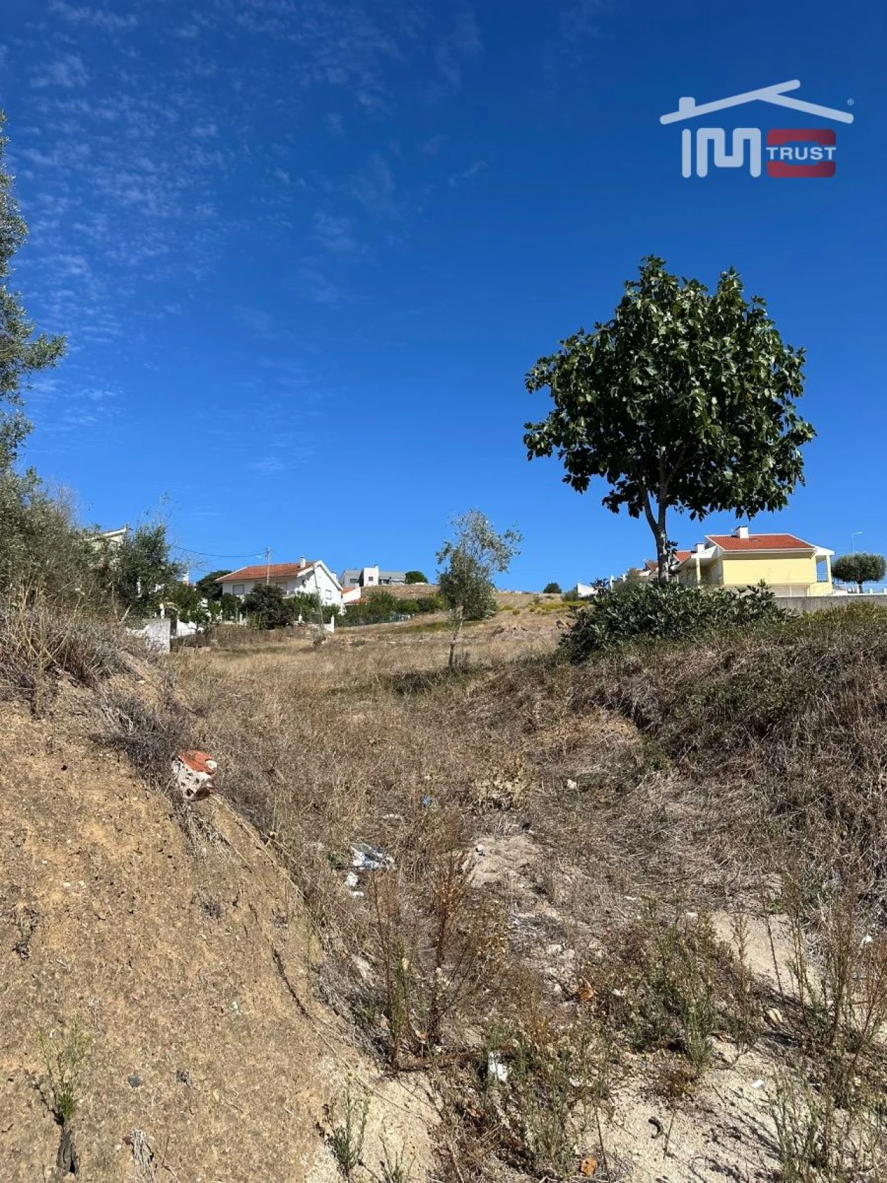 Terreno para Venda em Abrigada e Cabanas de Torres Foto 2