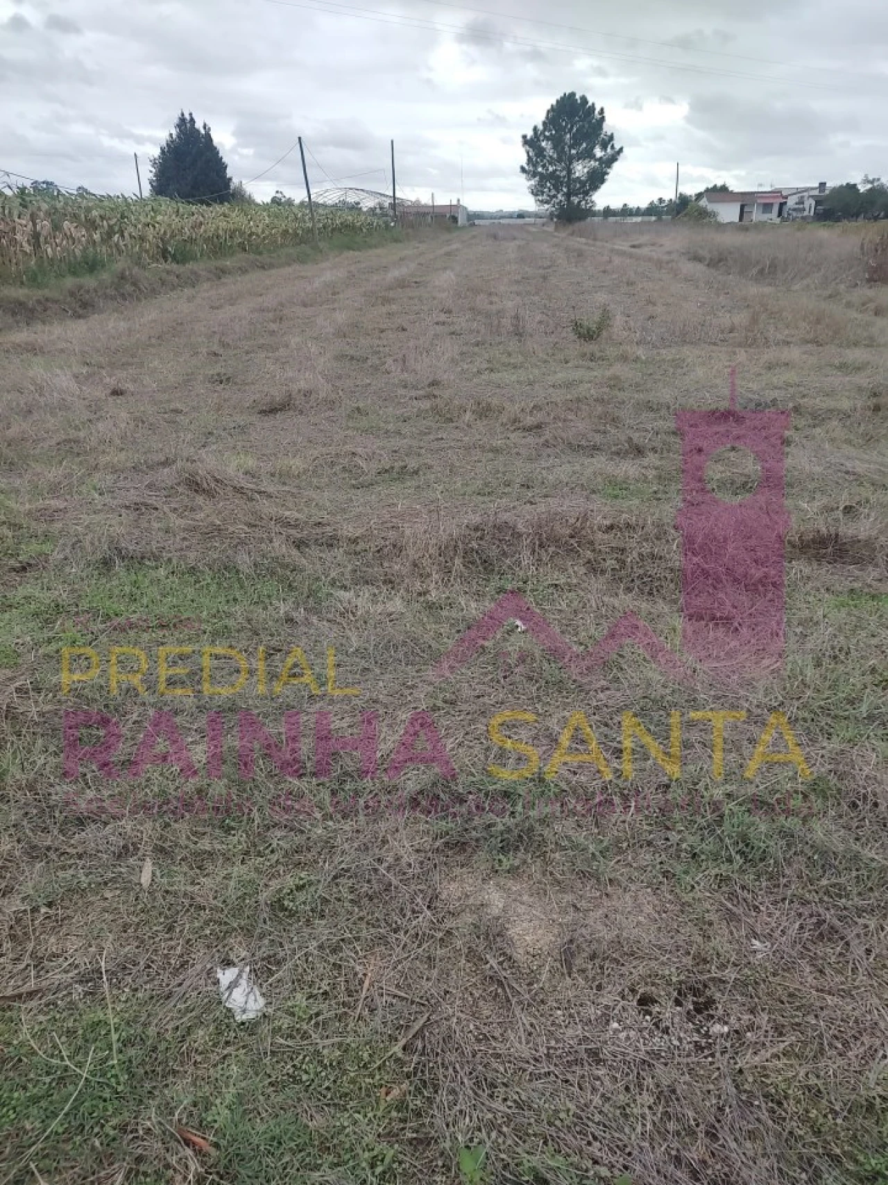 Terreno Agricola ou Rústico para Venda em Alpiarça Foto 4