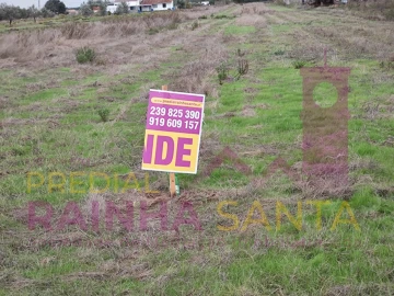Terreno Agricola ou Rústico para Venda em Alpiarça