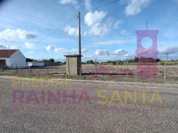 Terreno Agricola ou Rústico para Venda em Alpiarça