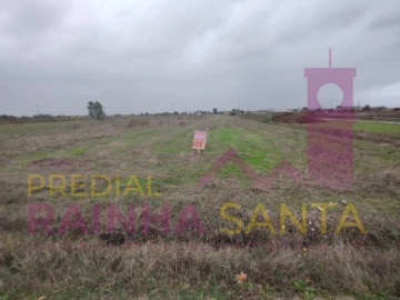 Terreno Agricola ou Rústico para Venda em Alpiarça