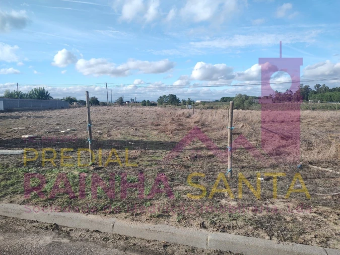 Terreno Agricola ou Rústico para Venda em Alpiarça Foto 3