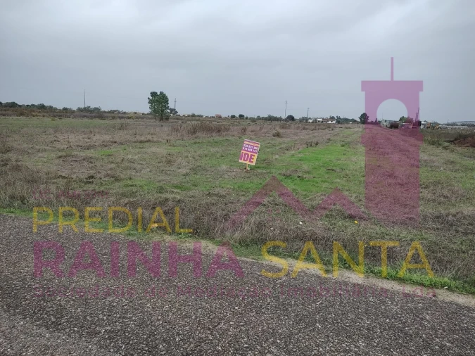 Terreno Agricola ou Rústico para Venda em Alpiarça Foto 5