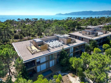 Apartamento T3 para Venda em Carvalhal