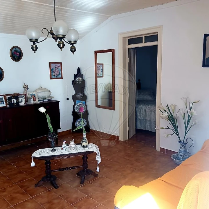 Moradia T2 para Venda em Chamusca e Pinheiro Grande Foto 3