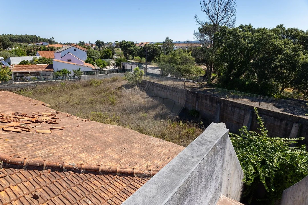 Terreno para Venda em Cadaval e Pêro Moniz Foto 3