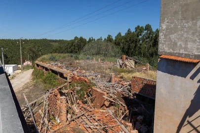 Terreno para Venda em Cadaval e Pêro Moniz