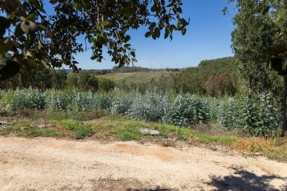 Terreno para Venda em Cadaval e Pêro Moniz