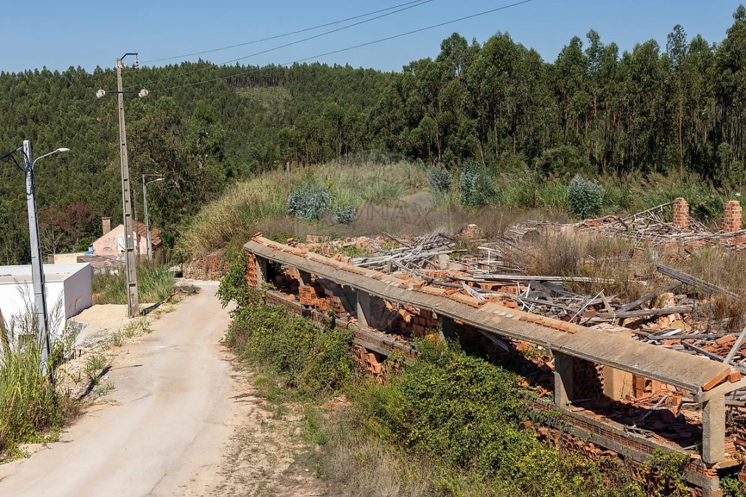 Terreno para Venda em Cadaval e Pêro Moniz Foto 5