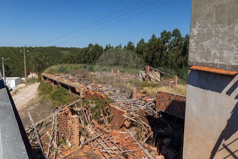 Terreno para Venda em Cadaval e Pêro Moniz Foto 9