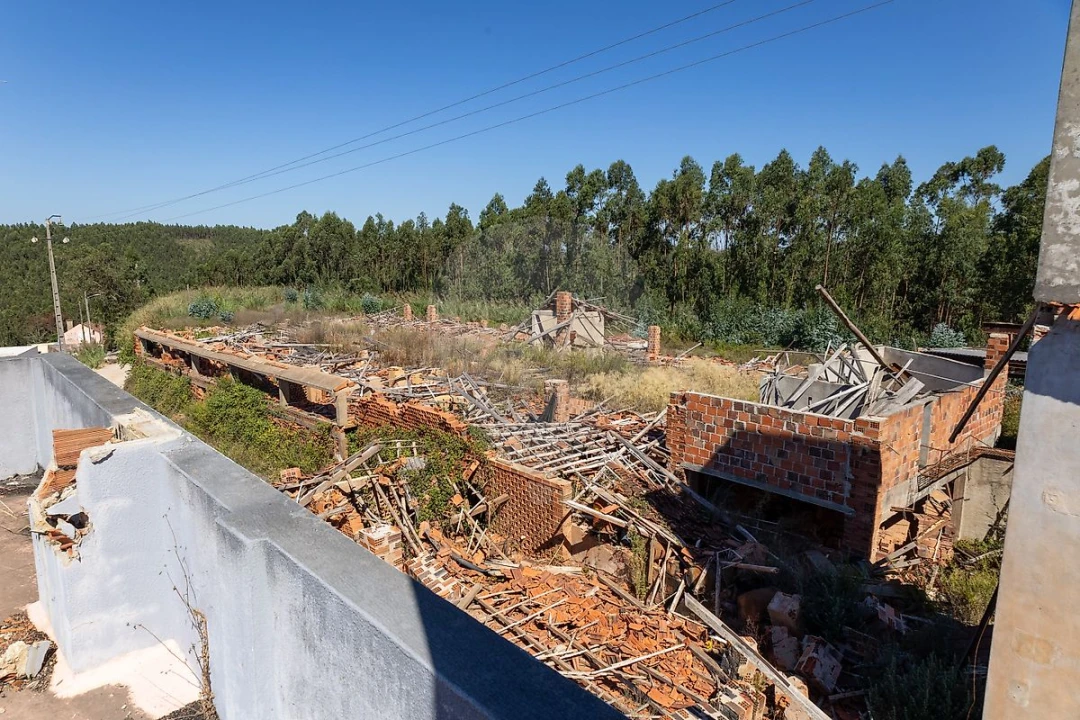 Terreno para Venda em Cadaval e Pêro Moniz Foto 8