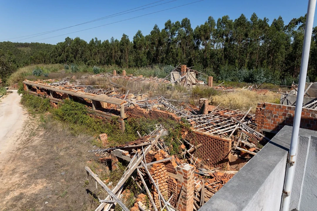 Terreno para Venda em Cadaval e Pêro Moniz Foto 10