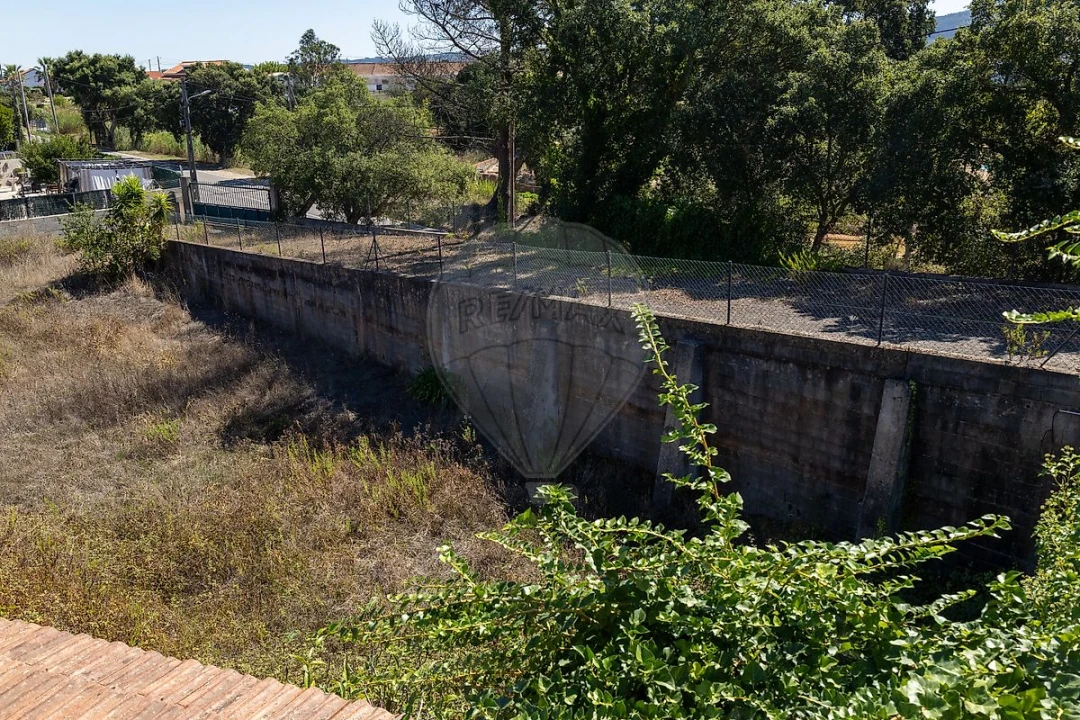Terreno para Venda em Cadaval e Pêro Moniz Foto 4