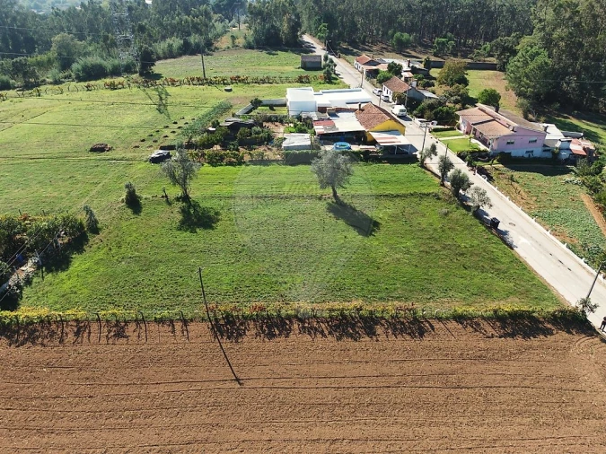 Terreno para Venda em Alquerubim Foto 6