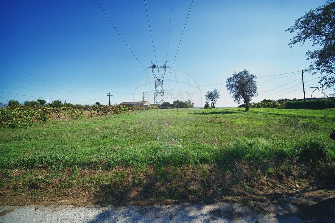 Terreno para Venda em Alquerubim Foto 3