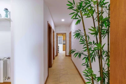 Moradia T3 para Venda em Pardilho