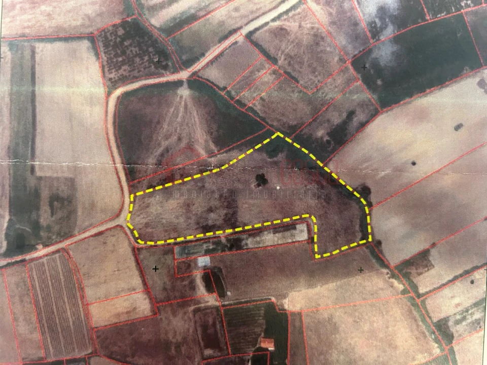 Terreno Agricola ou Rústico para Venda em Atouguia da Baleia Foto 2