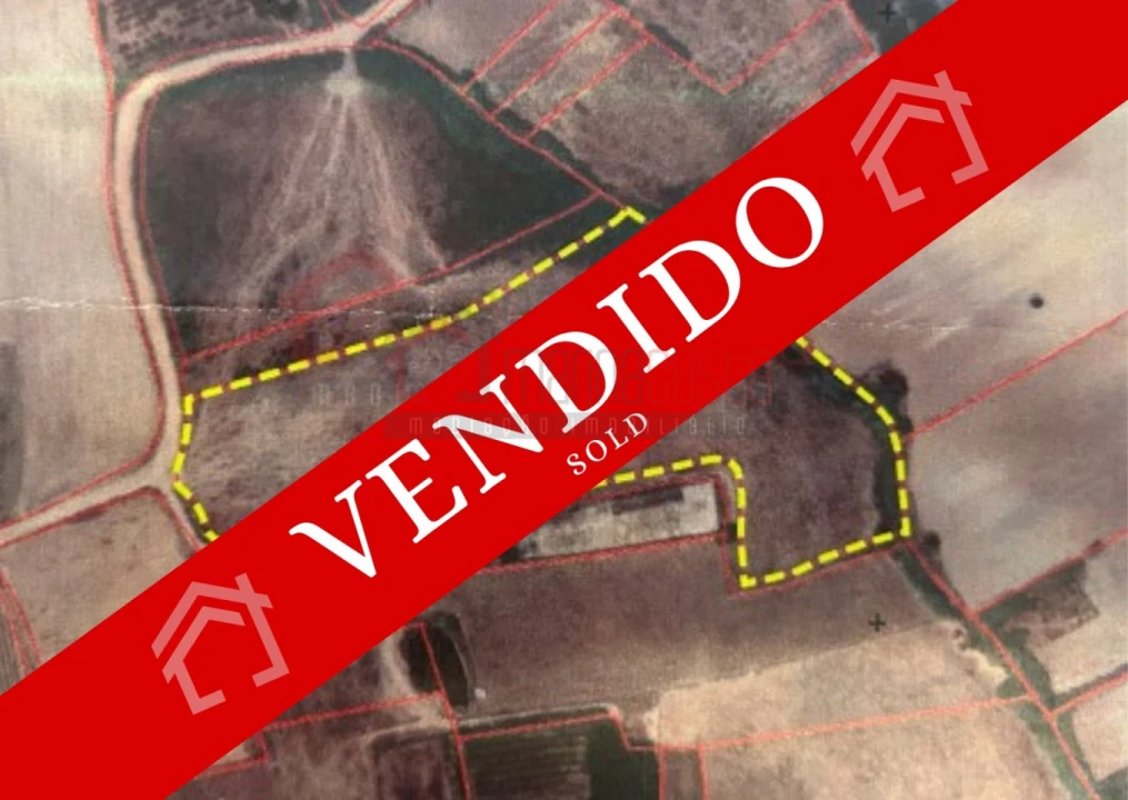 Terreno Agricola ou Rústico para Venda em Atouguia da Baleia Foto 1