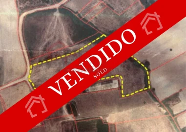 Terreno Agricola ou Rústico para Venda em Atouguia da Baleia