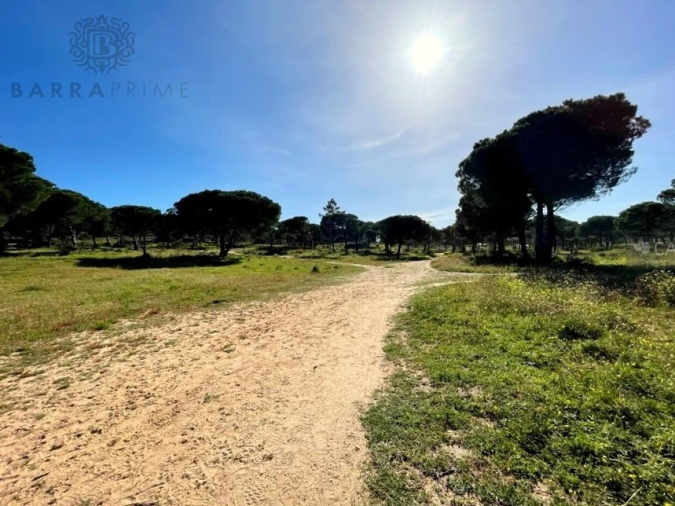 Terreno para Venda em Albufeira e Olhos de Água Foto 3
