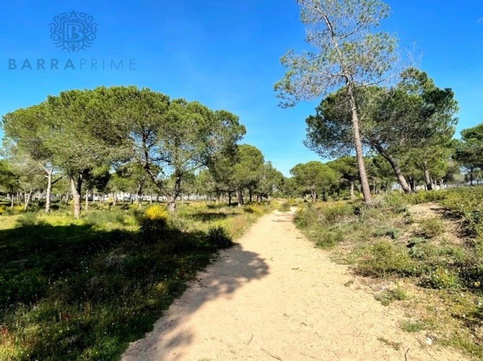 Terreno para Venda em Albufeira e Olhos de Água Foto 4