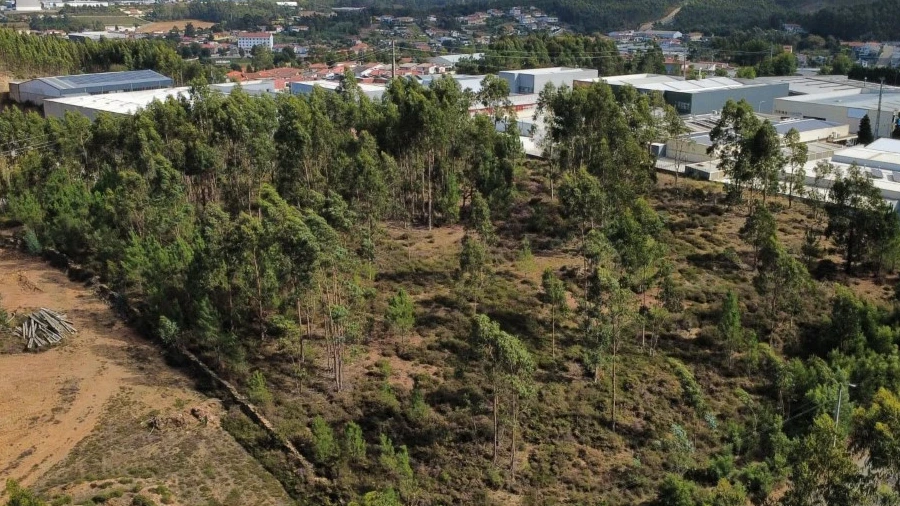 Terreno para Venda em Bougado (São Martinho e Santiago)
