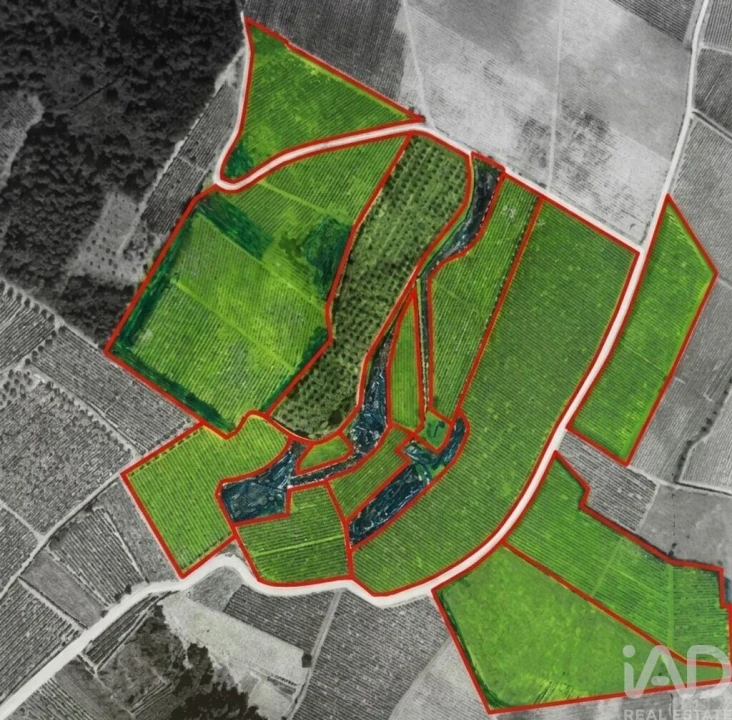 Terreno para Venda em Alijo Foto 19