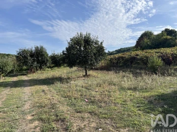 Terreno para Venda em Alijo
