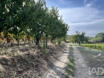 Terreno para Venda em Alijo