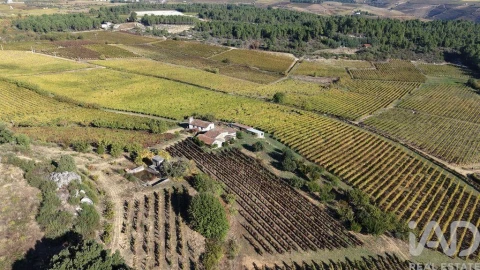 Terreno para Venda em Alijo