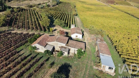 Terreno para Venda em Alijo