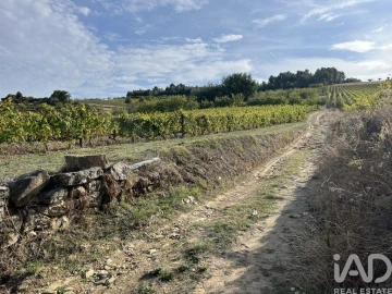 Terreno para Venda em Alijo