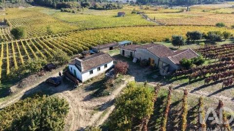 Terreno para Venda em Alijo