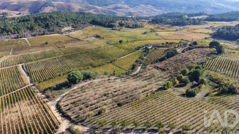 Terreno para Venda em Alijo