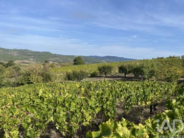 Terreno para Venda em Alijo