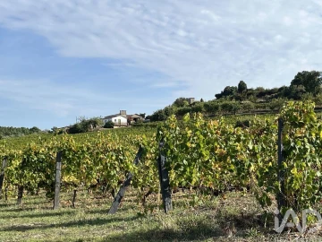 Terreno para Venda em Alijo