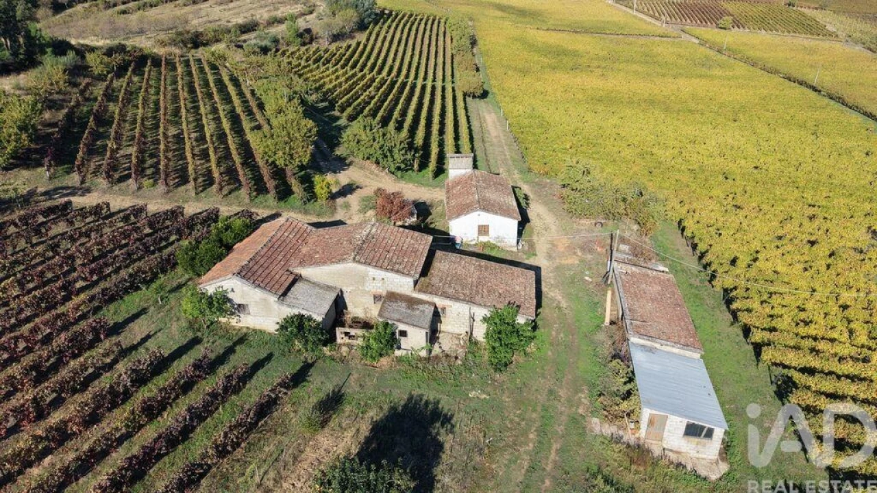 Terreno para Venda em Alijo Foto 22