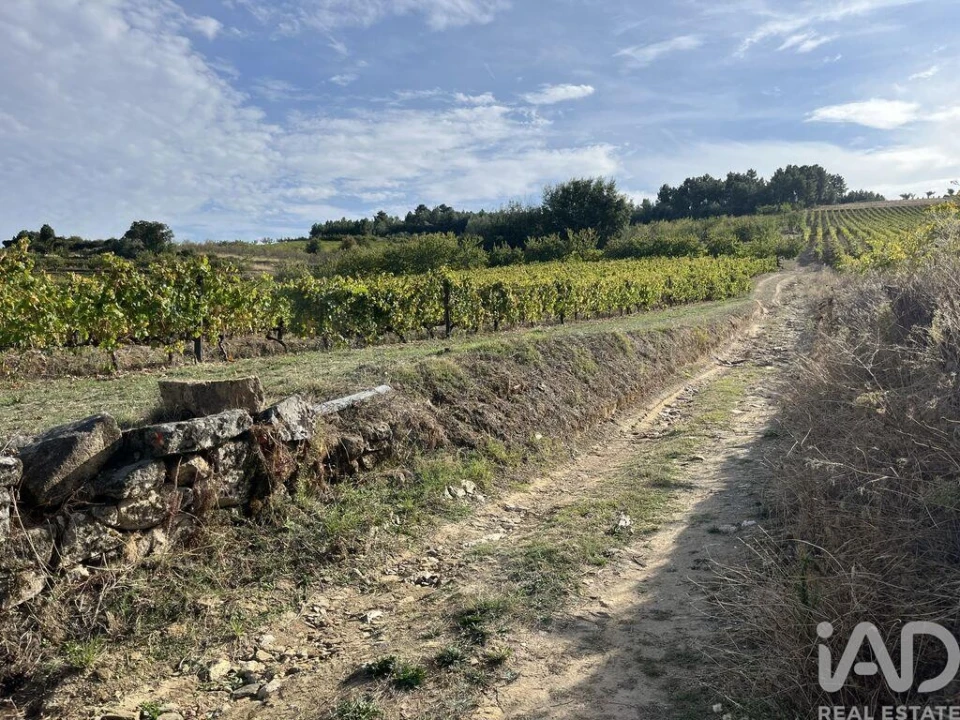 Terreno para Venda em Alijo Foto 17